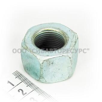    201,5 (, , . 303258)