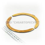 ���������� ������� ���������� ��������� (��������, ����)