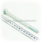 ���� � ������������ �������� � �������