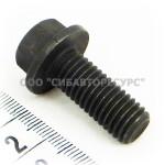 ���� � ������������ �������� � �������